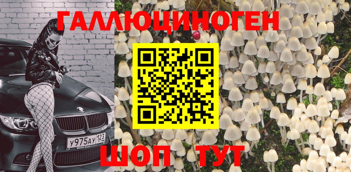 Псилоцибиновые грибы мицелий Александров
