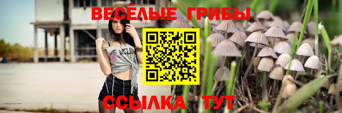 купить закладку  Псилоцибиновые грибы Cubensis  Александров  Вход с VPN  Псилоцибиновые грибы мухоморы 